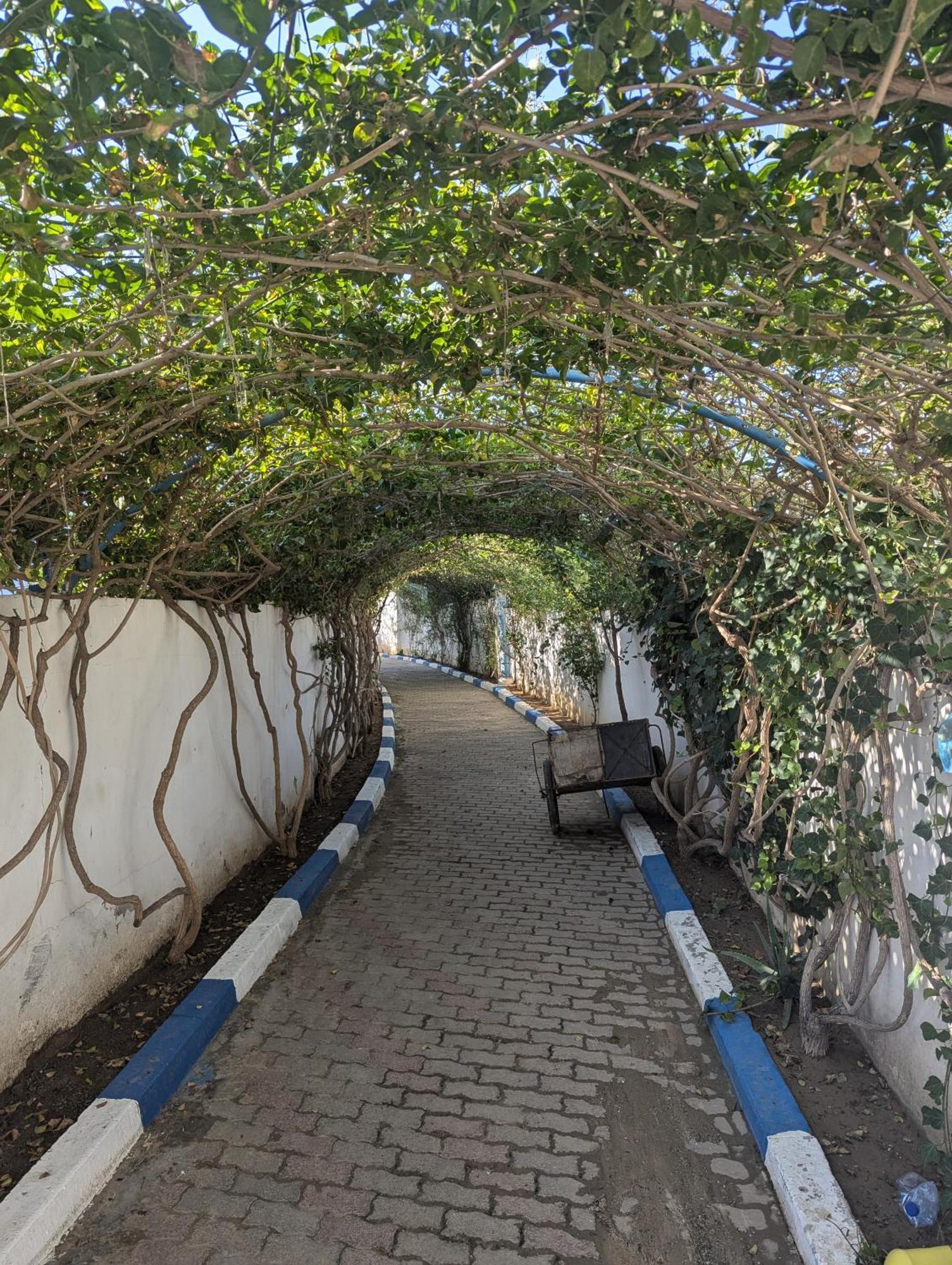 Diar El Bahr Mahdia Apartment El Hafsi Ngoại thất bức ảnh